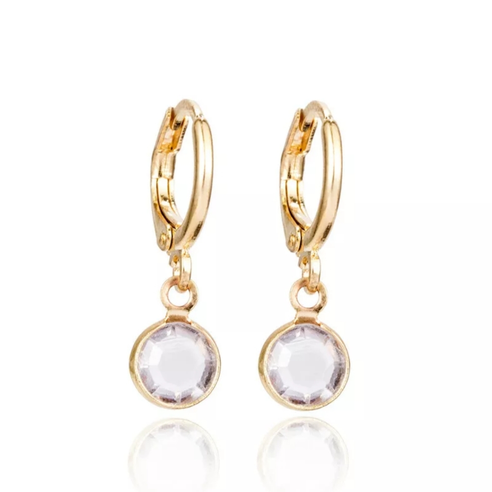 Crystal Drop Hoop Earrings